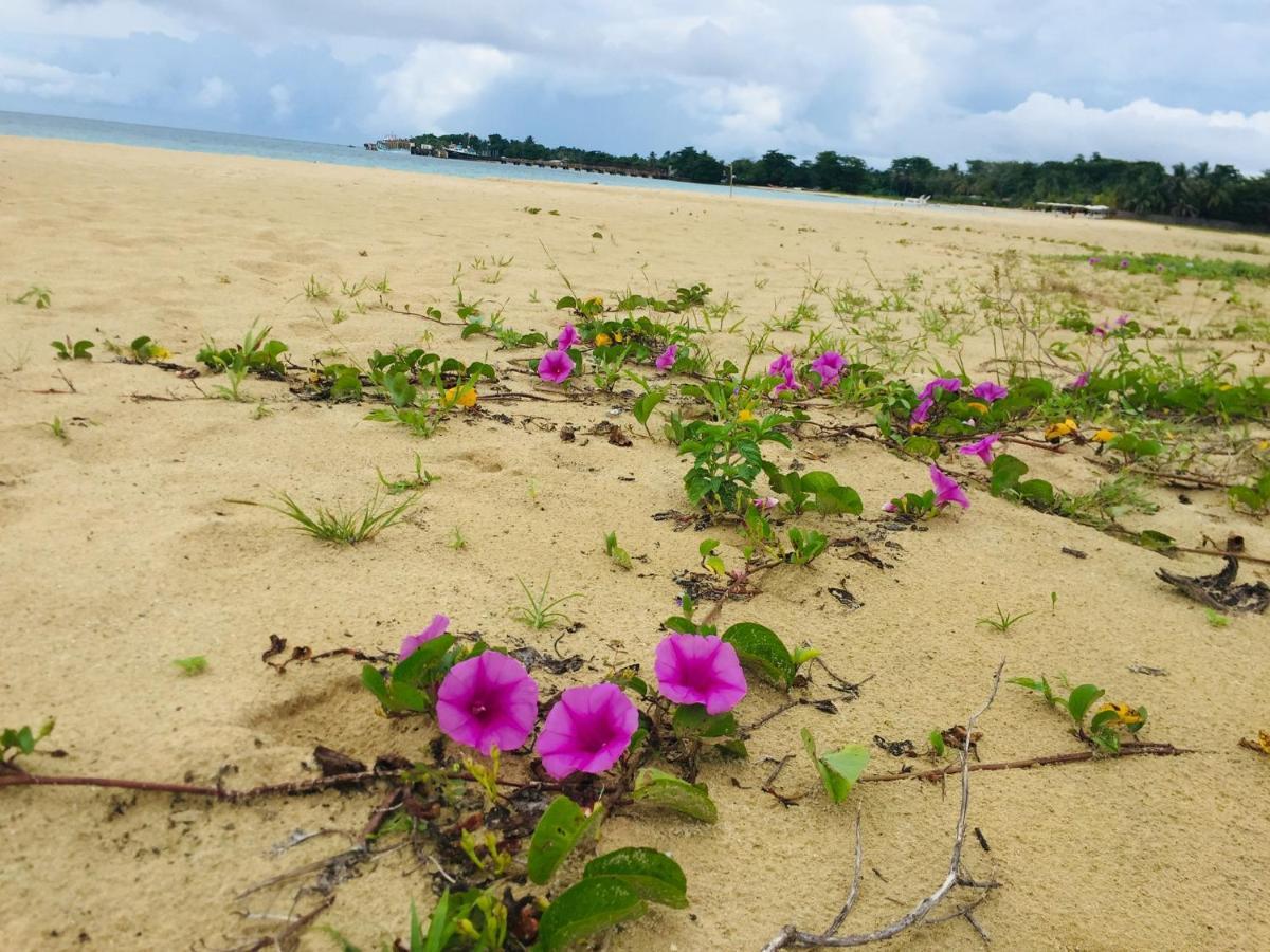 Pic-Nic Beach Corn Island Hotell Exteriör bild